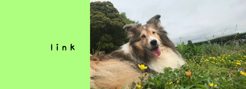 Dogschoolspica Link