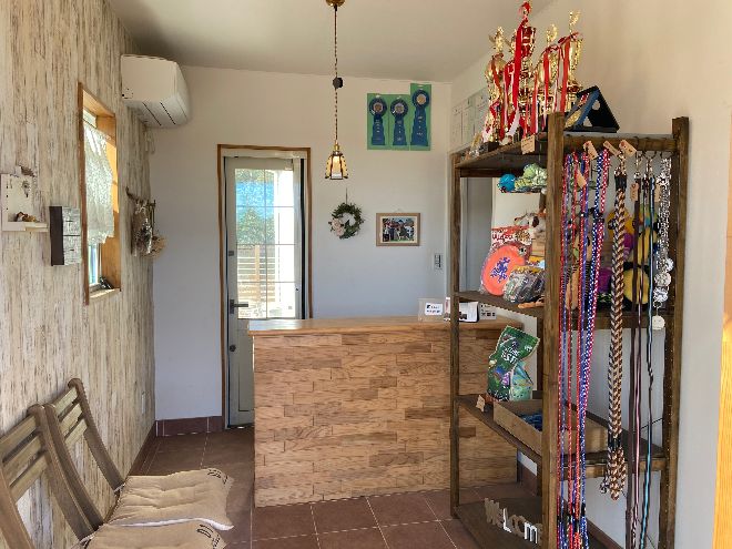 犬のしつけ 千葉 東金市や八街市で家庭犬のしつけなら Dogschoolspica